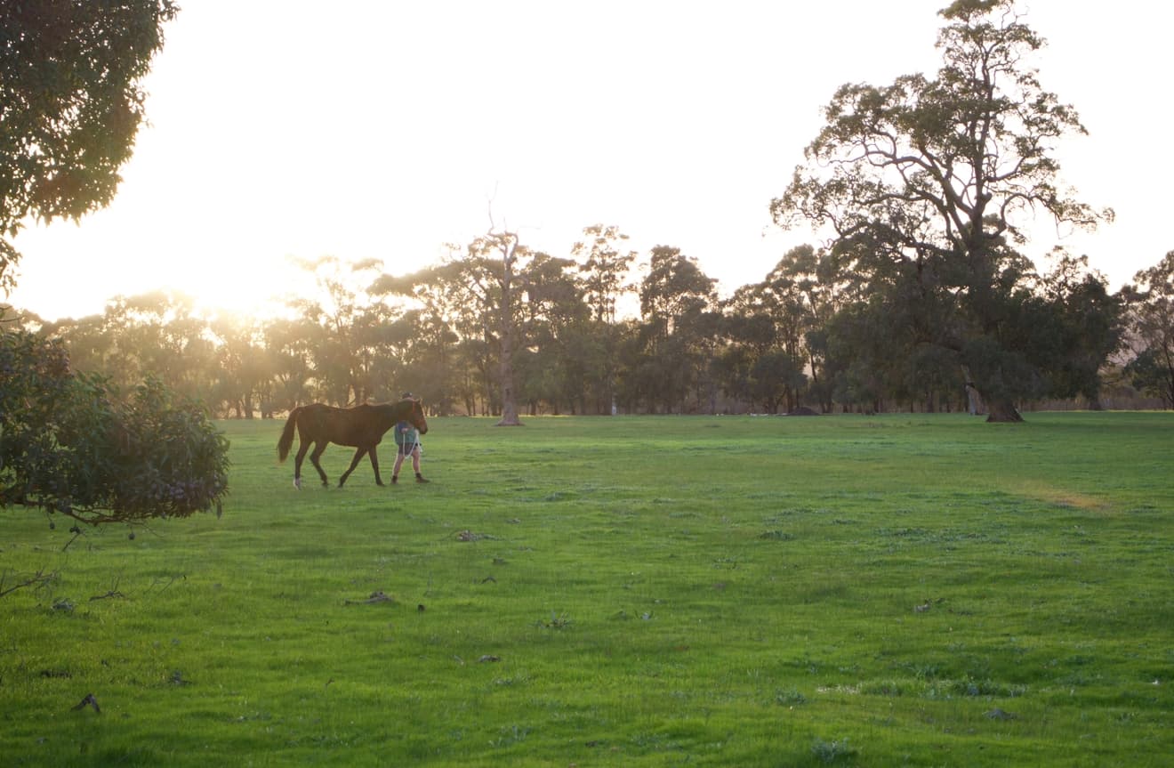 Thumbnail 8 of The Hay Feilds