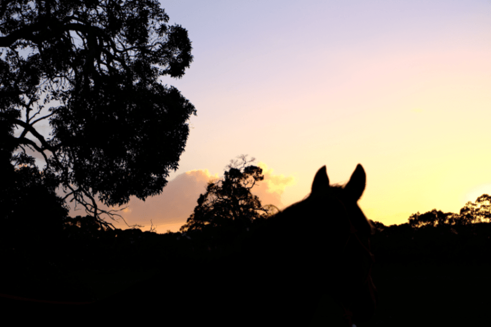 Thumbnail 3 of The Hay Feilds