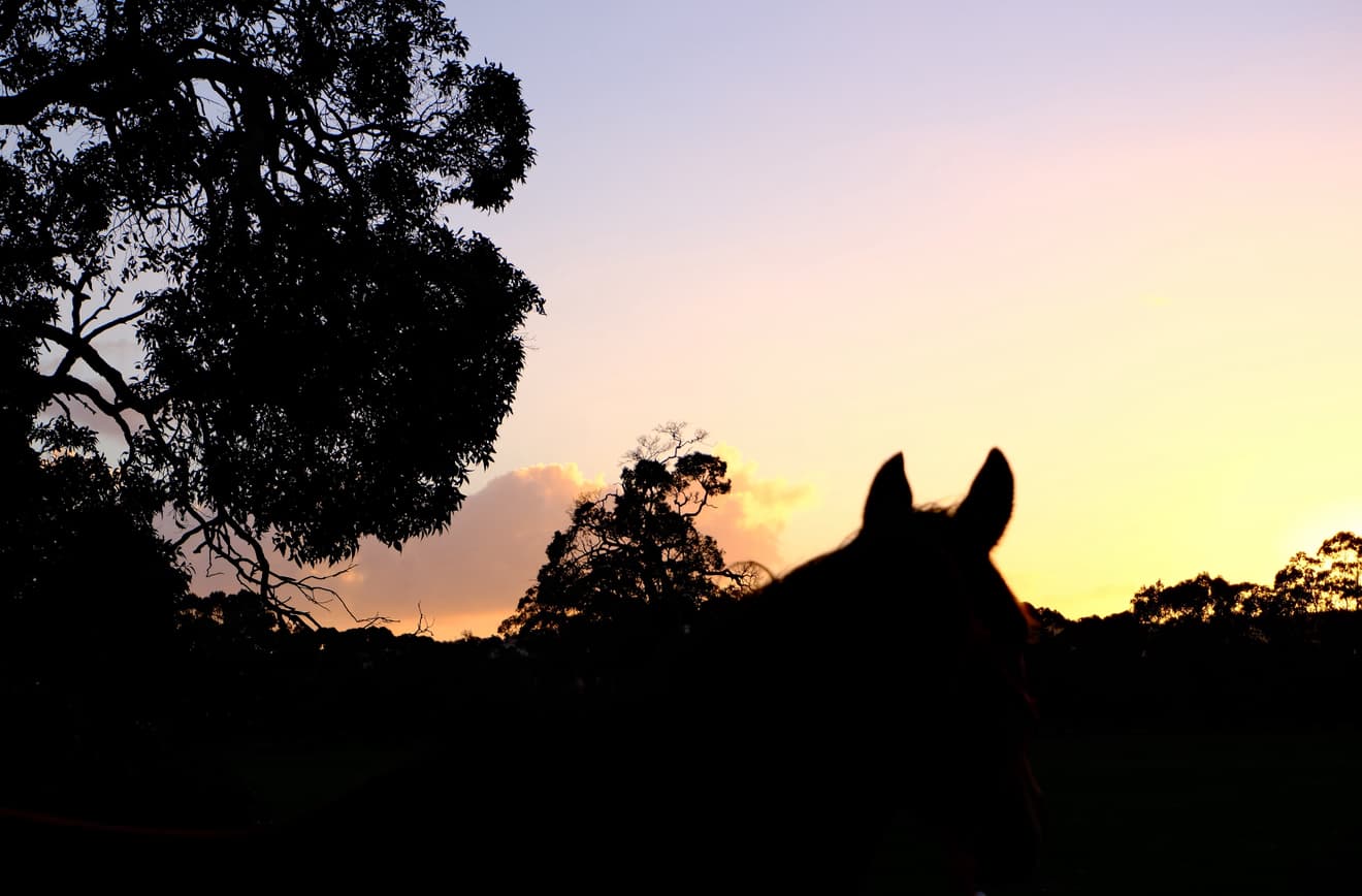 Thumbnail 7 of The Hay Feilds