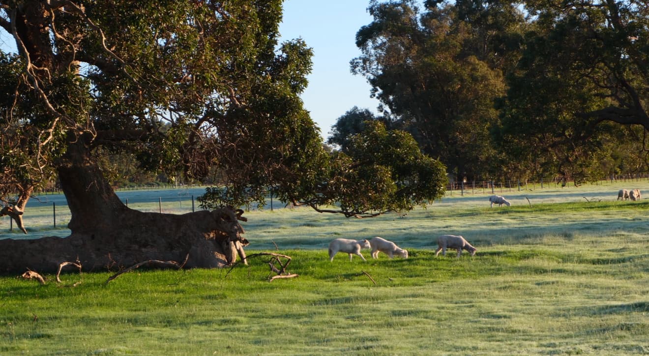 Thumbnail 6 of The Hay Feilds