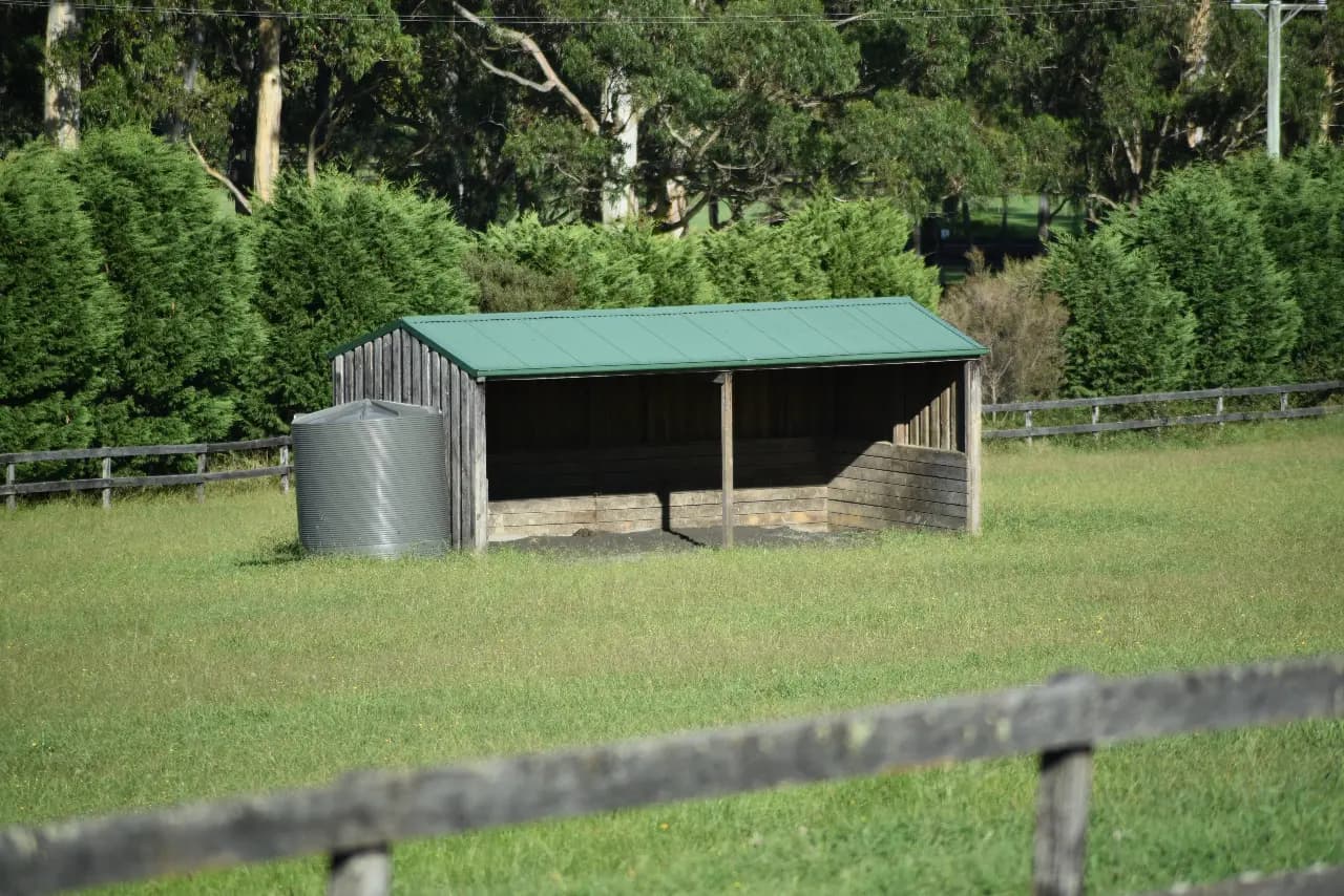 Thumbnail 4 of Yarrawa Park Agistment