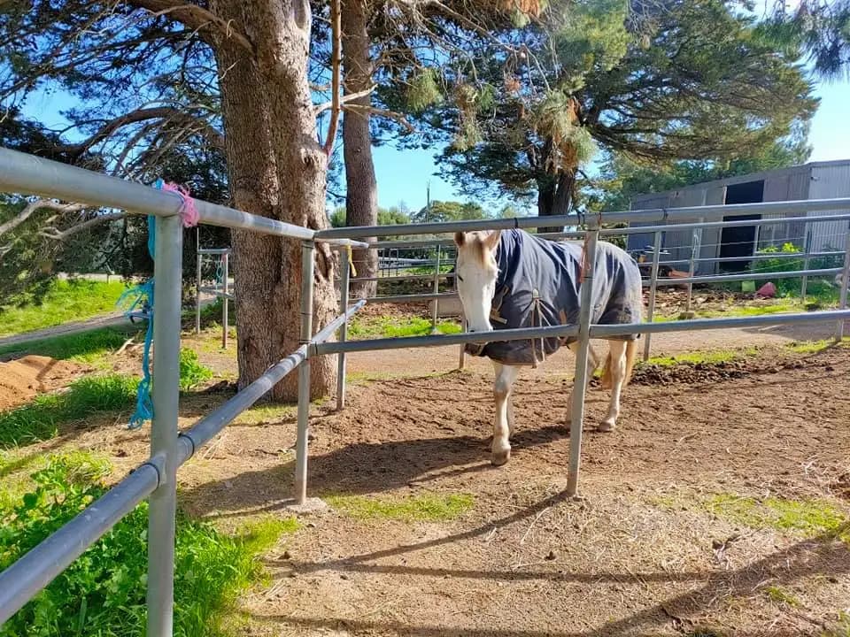 Photo of Gold Park Equestrian Centre