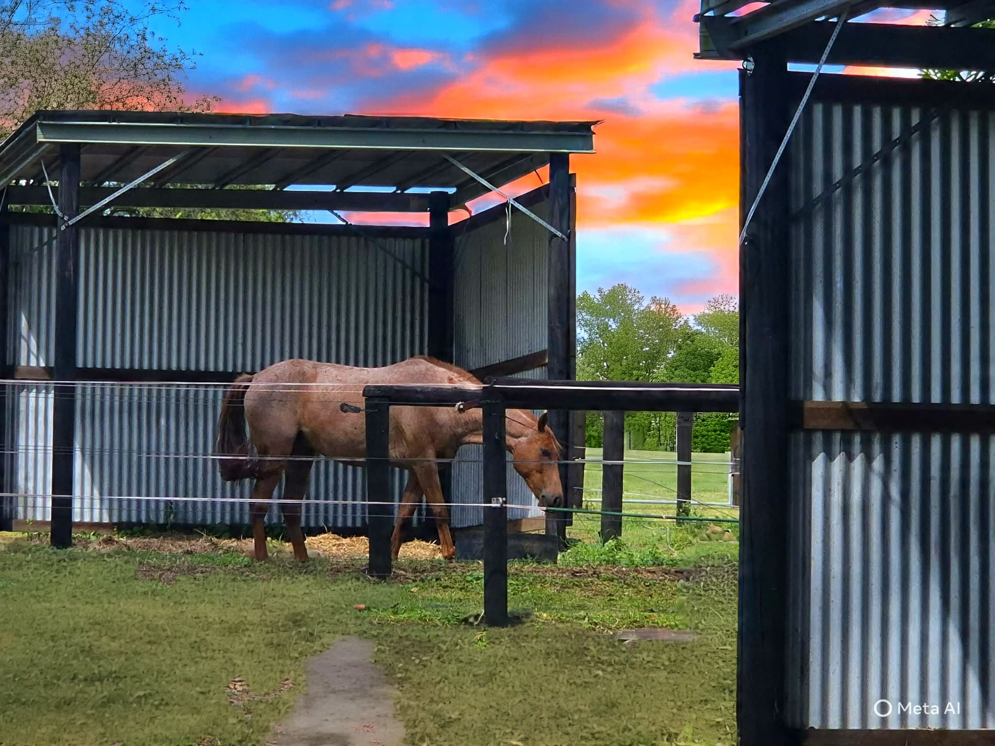 Thumbnail 4 of Huber Horse Agistment Short Stays