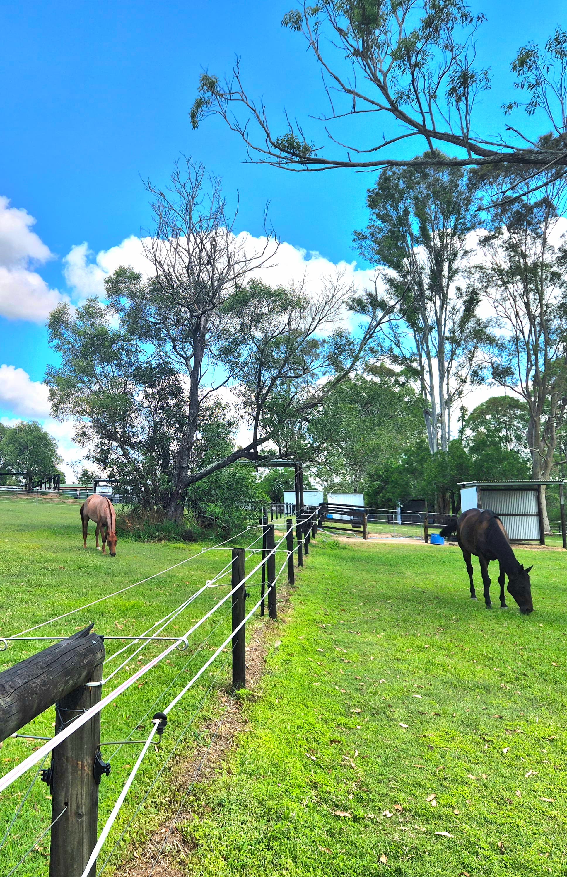 Thumbnail 5 of Huber Horse Agistment Short Stays
