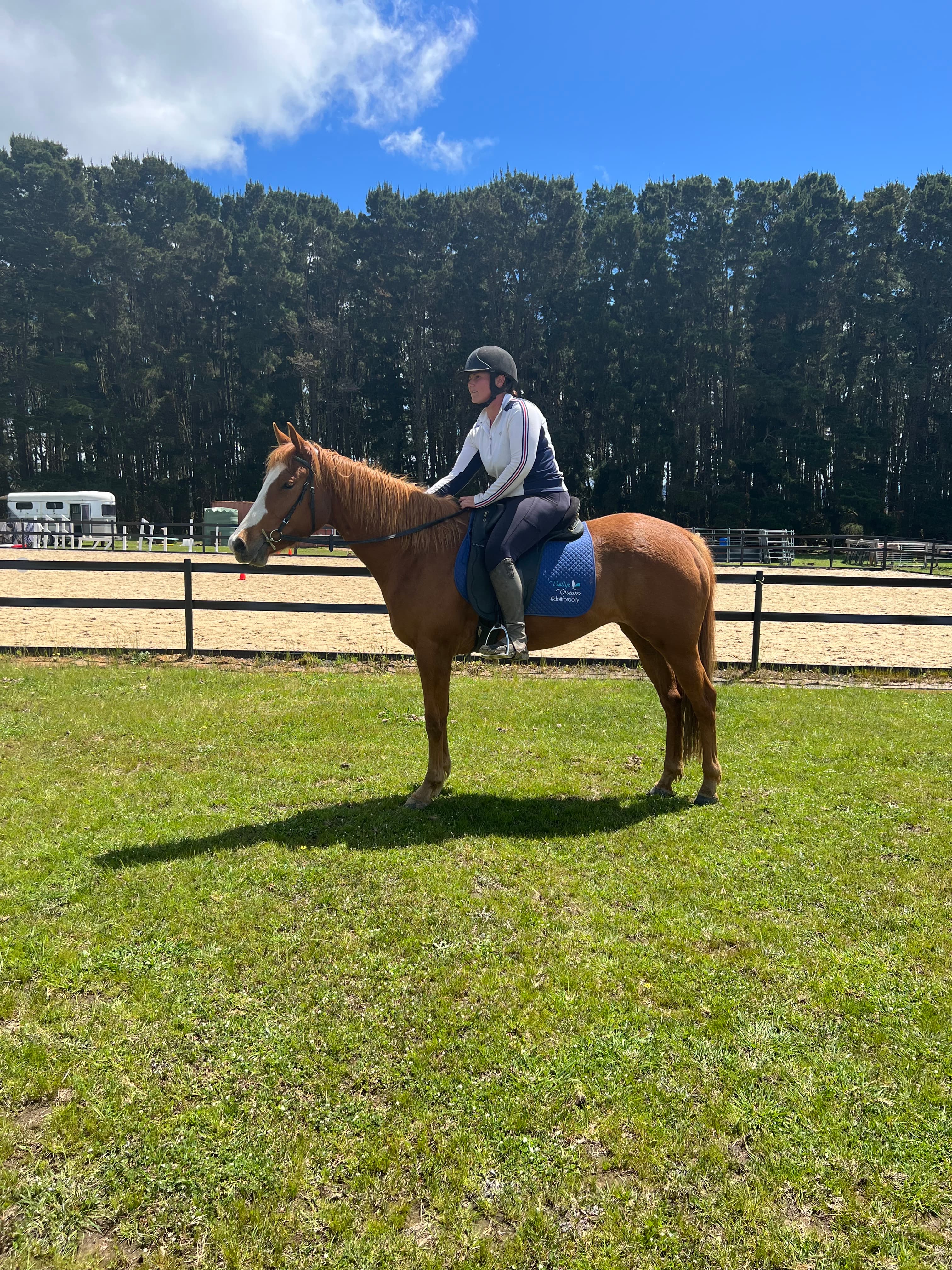 Thumbnail 2 of Pineview Equestrian