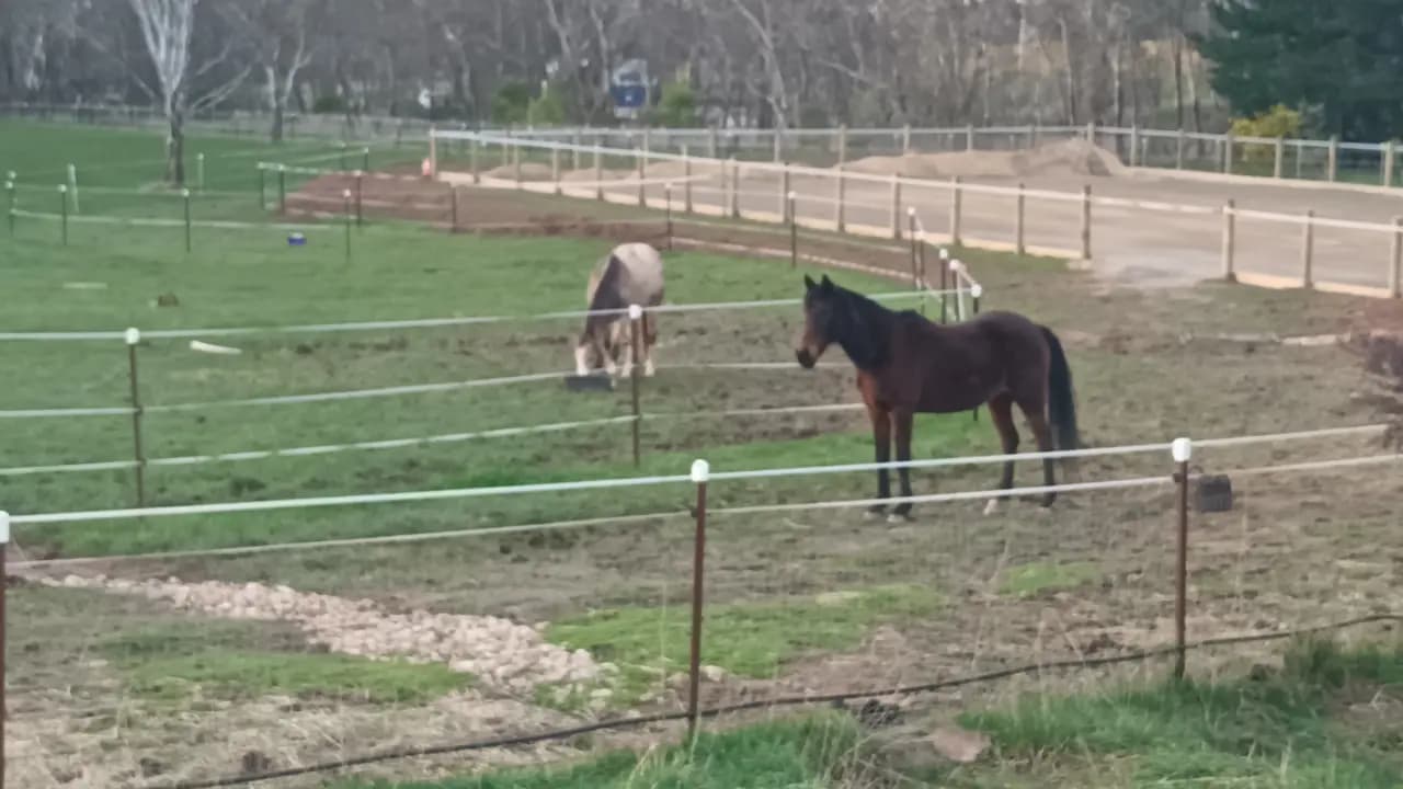 Thumbnail 3 of Archies Run Track Agistment