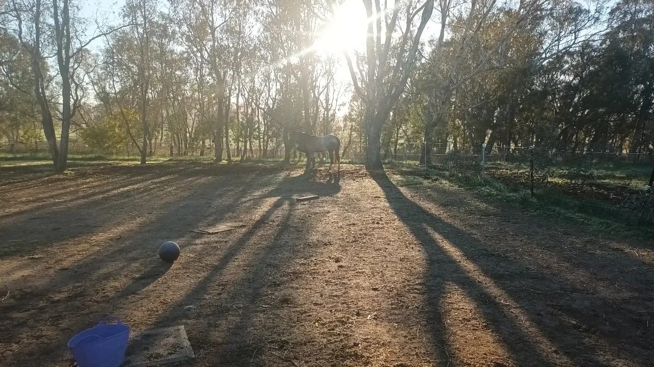 Thumbnail 5 of Archies Run Track Agistment