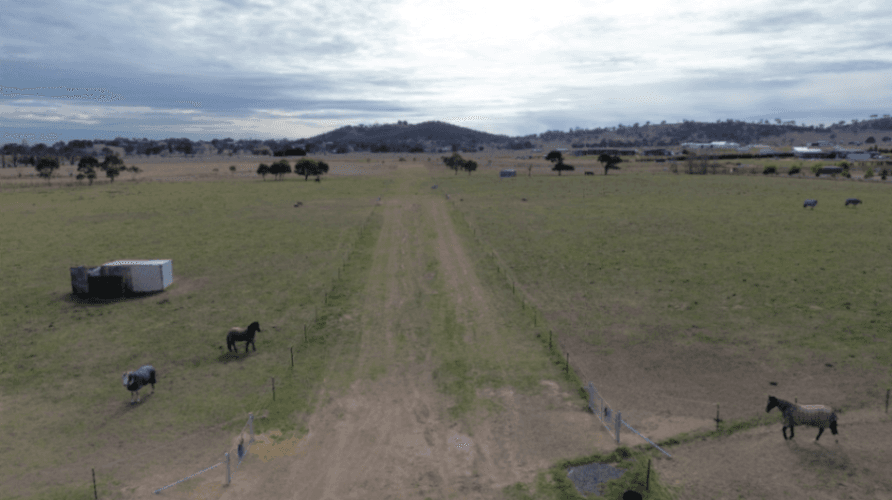 Thumbnail 4 of Little Beacon Equine Agistment
