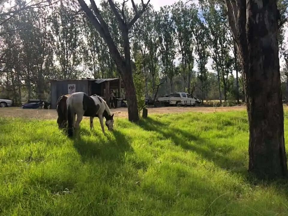 Lilliput Park Equestrian Centre