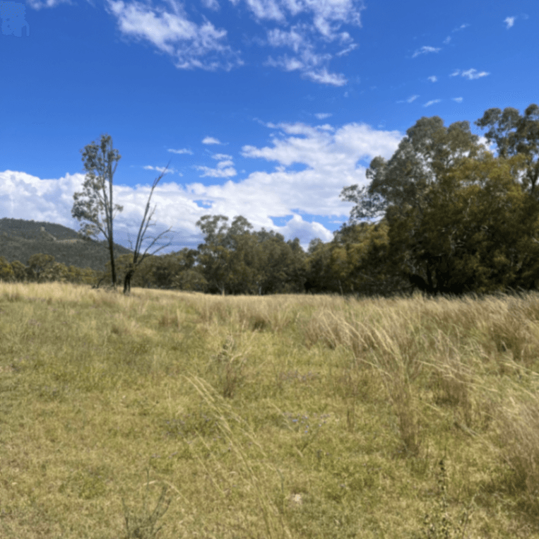 Photo of River rock park