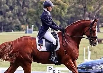 Thumbnail 3 of Fig Tree Pocket Equestrian Club