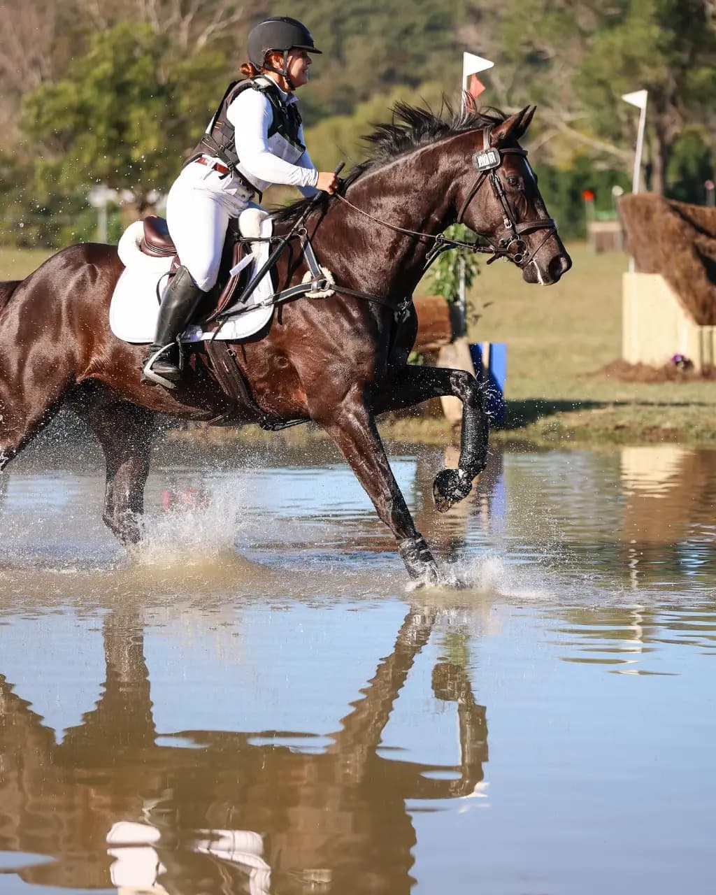 Photo of Fig Tree Pocket Equestrian Club