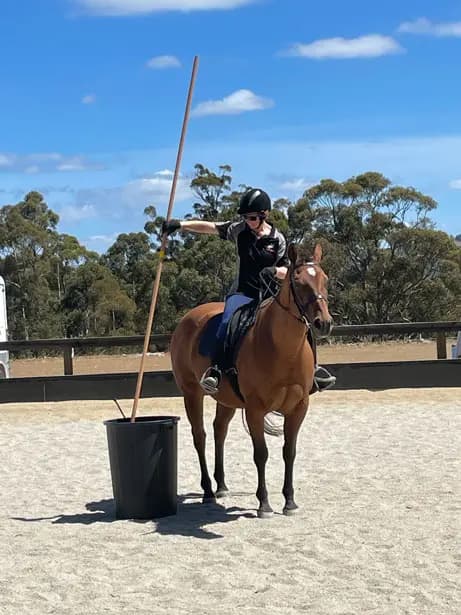 Thumbnail 6 of Pringle Park Equestrian Centre