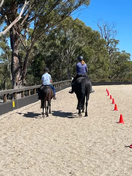 Thumbnail 5 of Pringle Park Equestrian Centre