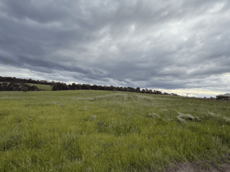 Photo of BDS Farms