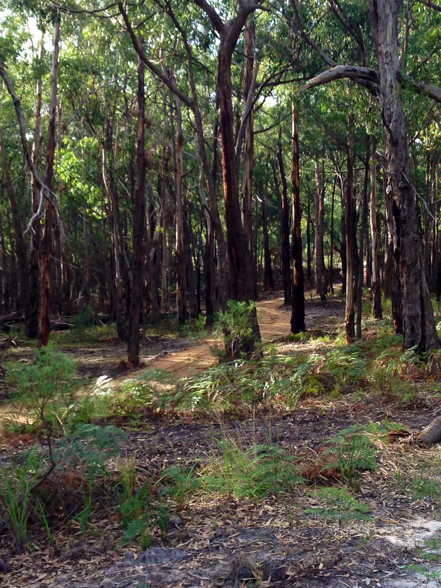 Photo of Carrajung sanctuary park