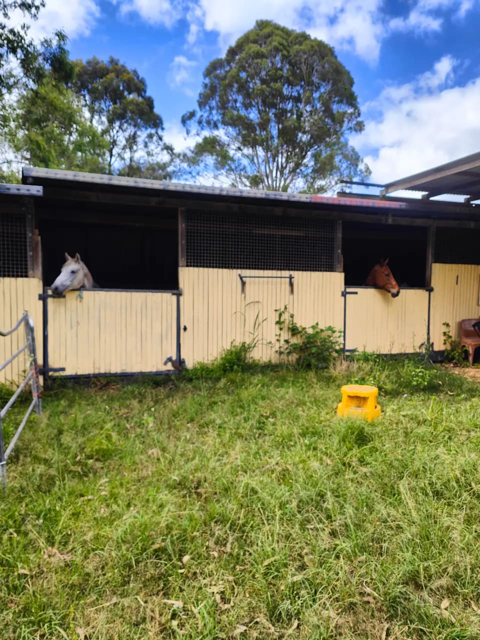 Photo of Lollys Landing Horse riding and Agistment