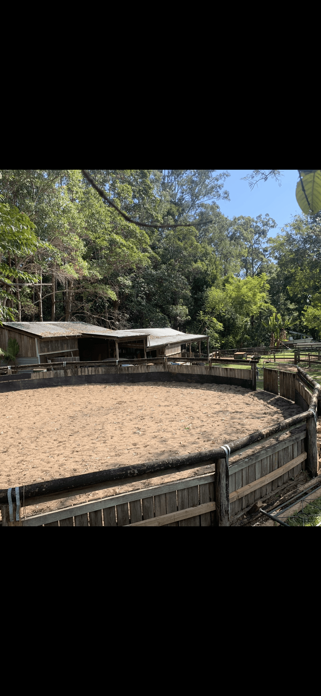 Thumbnail 4 of Palmwoods Park