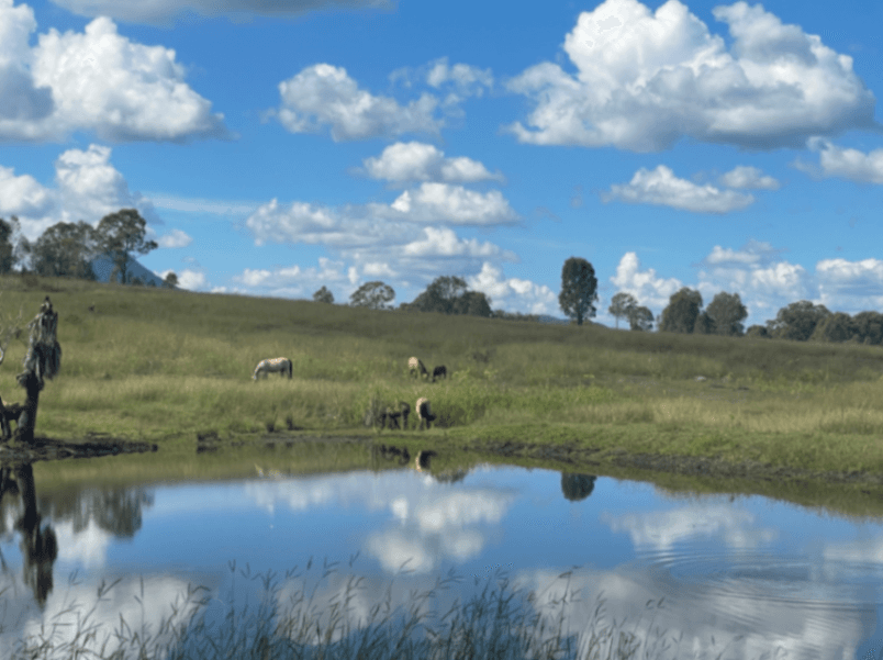 Thumbnail 6 of Scenic Rim Agistment