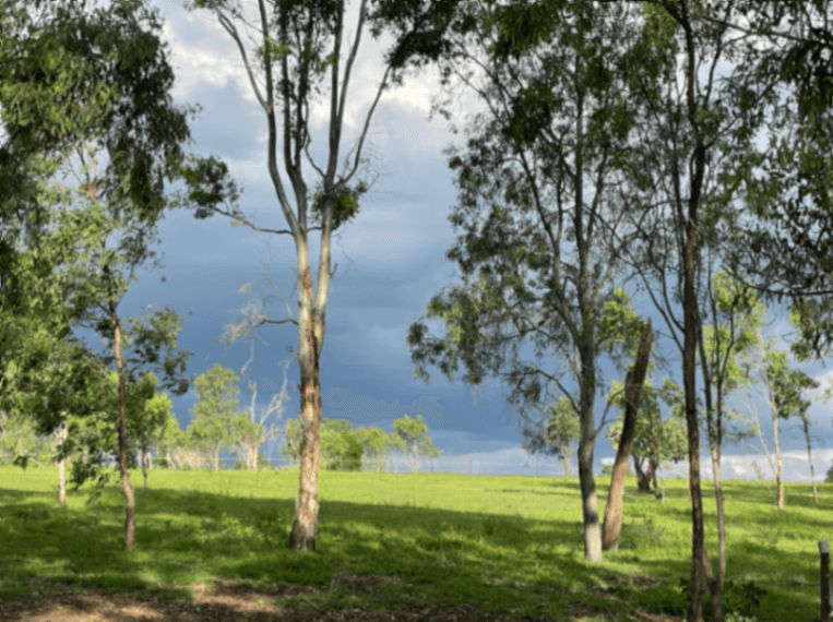 Thumbnail 4 of Scenic Rim Agistment