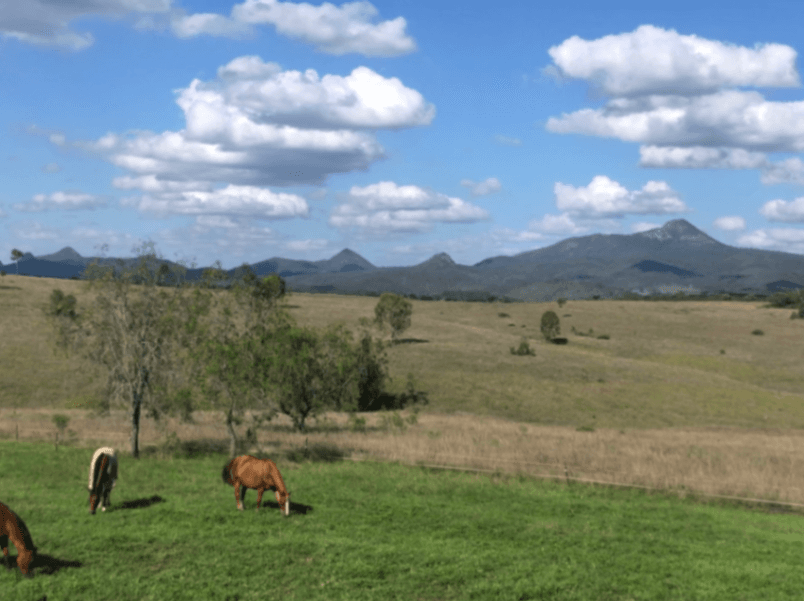 Photo of Scenic Rim Agistment