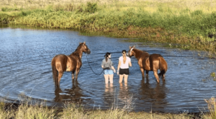 Thumbnail 2 of Scenic Rim Agistment
