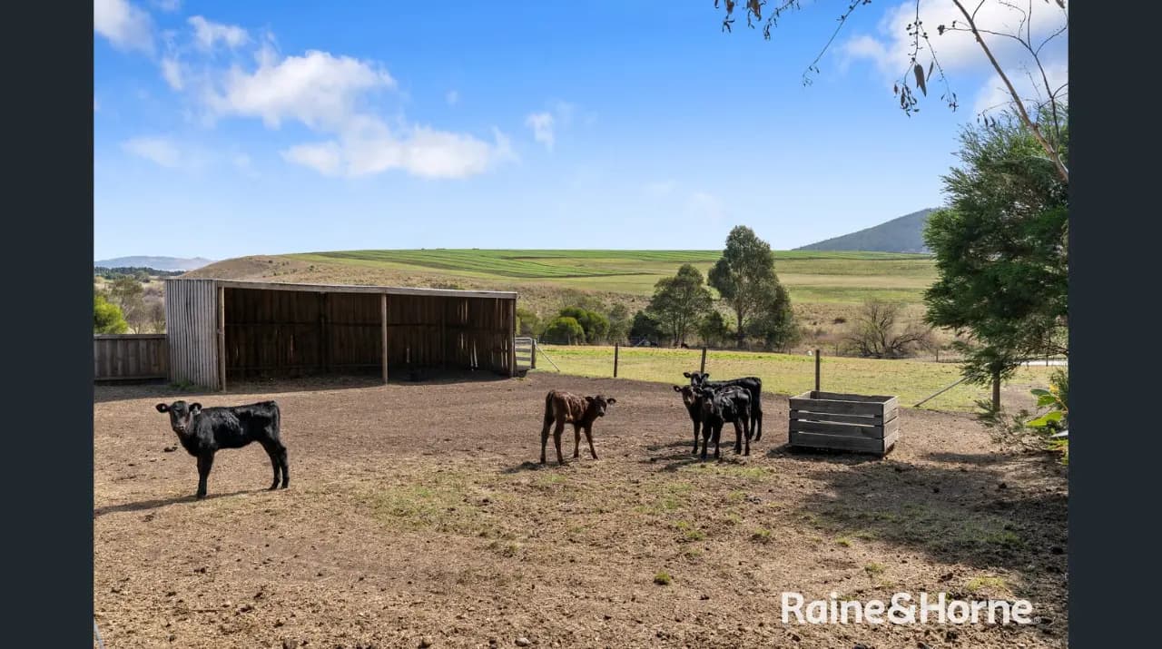 Thumbnail 2 of Forcett well pastured land