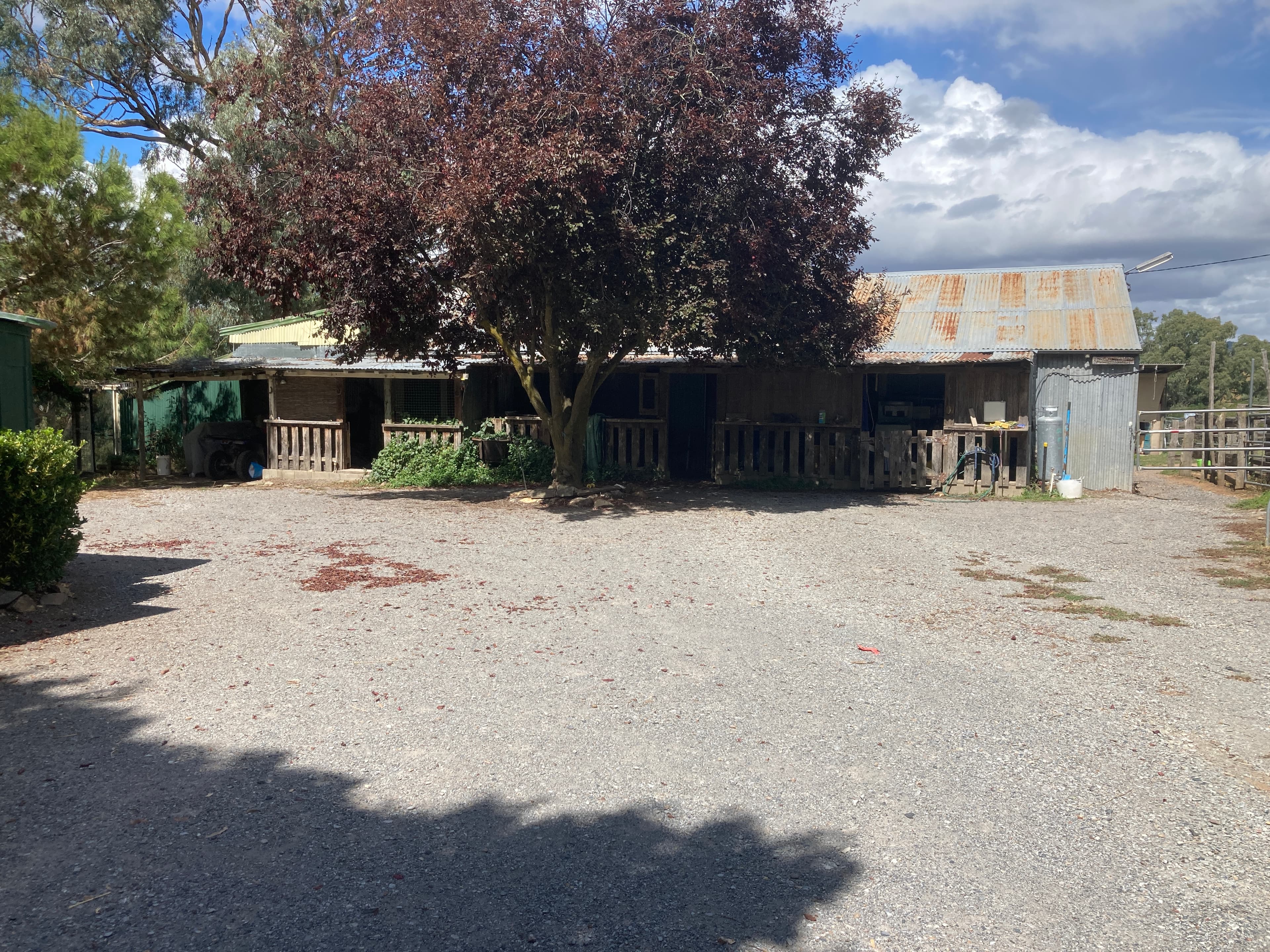 Thumbnail 3 of Yass Valley Riding School
