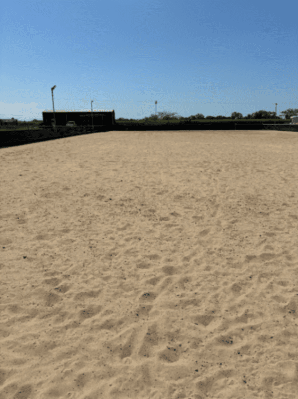 Thumbnail 4 of Malouba Equine