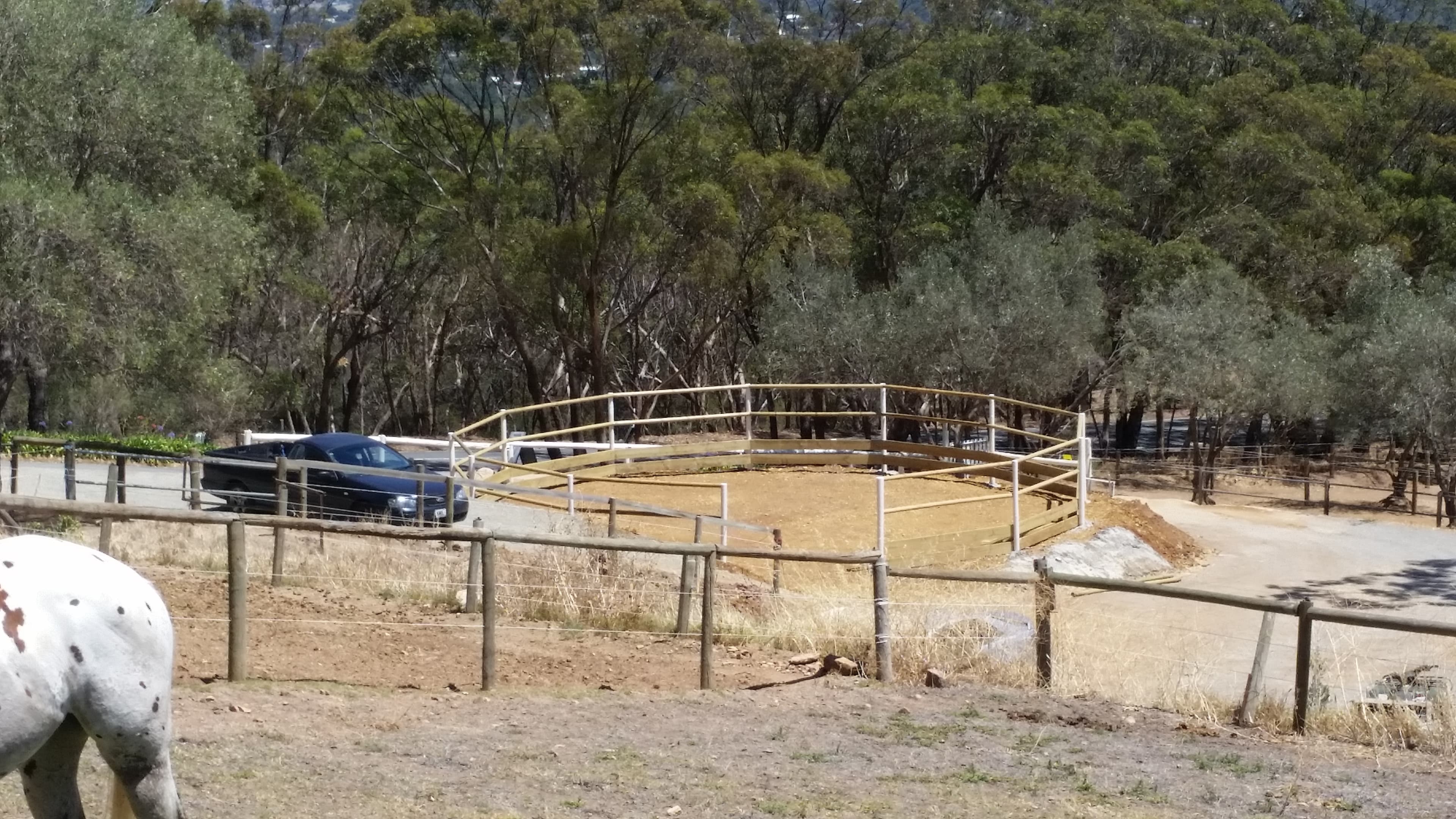 Thumbnail 8 of Malvern Park Horse Agistment