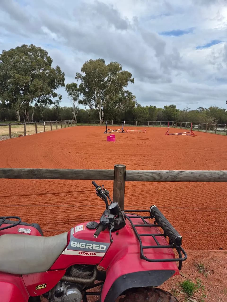 Photo of Whitegums agistment