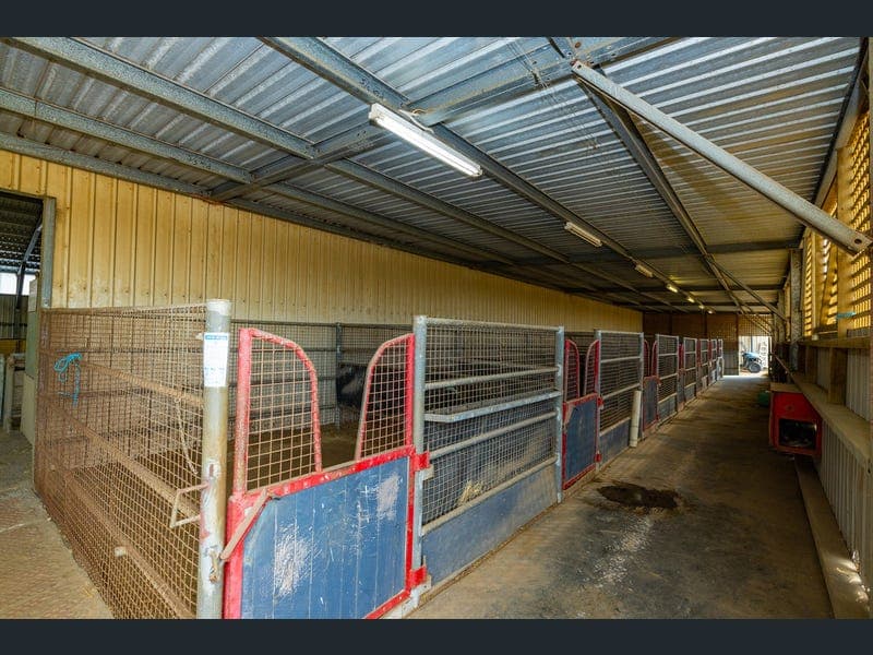 Thumbnail 5 of High View Horse Complex