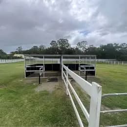 Thumbnail 3 of Langs Farm - Cornubia QLD: two beautiful paddocks for self-care agistment