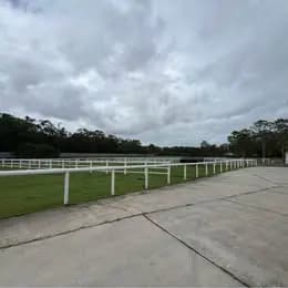 Thumbnail 2 of Langs Farm - Cornubia QLD: two beautiful paddocks for self-care agistment