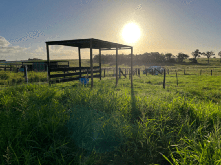 Photo of Bella Denn Park - irrigated agistment - DIY to full care options