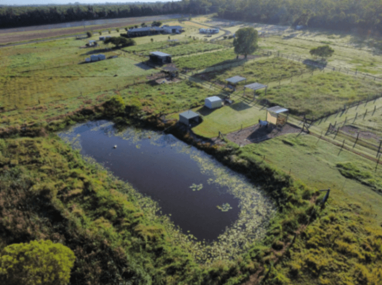 Thumbnail 3 of Bella Denn Park - irrigated agistment - DIY to full care options