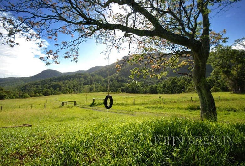 Thumbnail 2 of Horse Adjistment opportunity in Beautiful Tallebudgera Valley