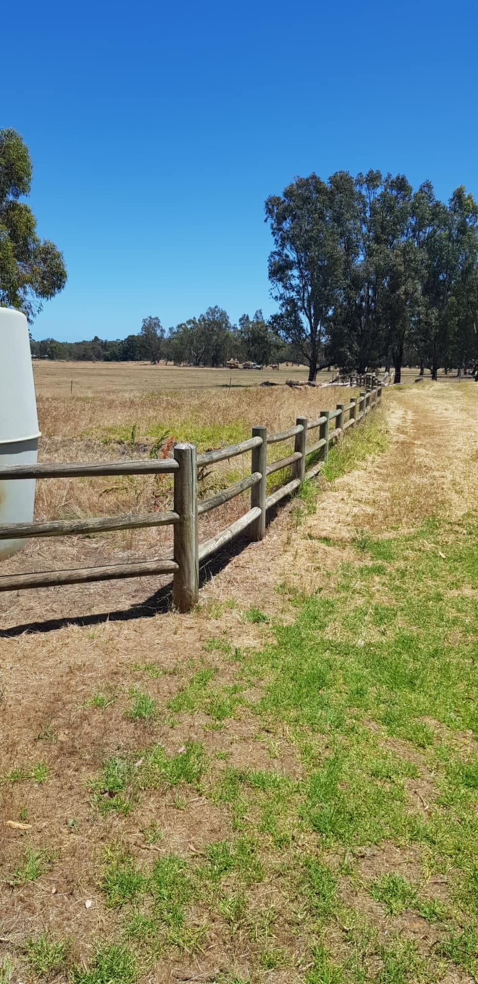 Photo of Thomas property