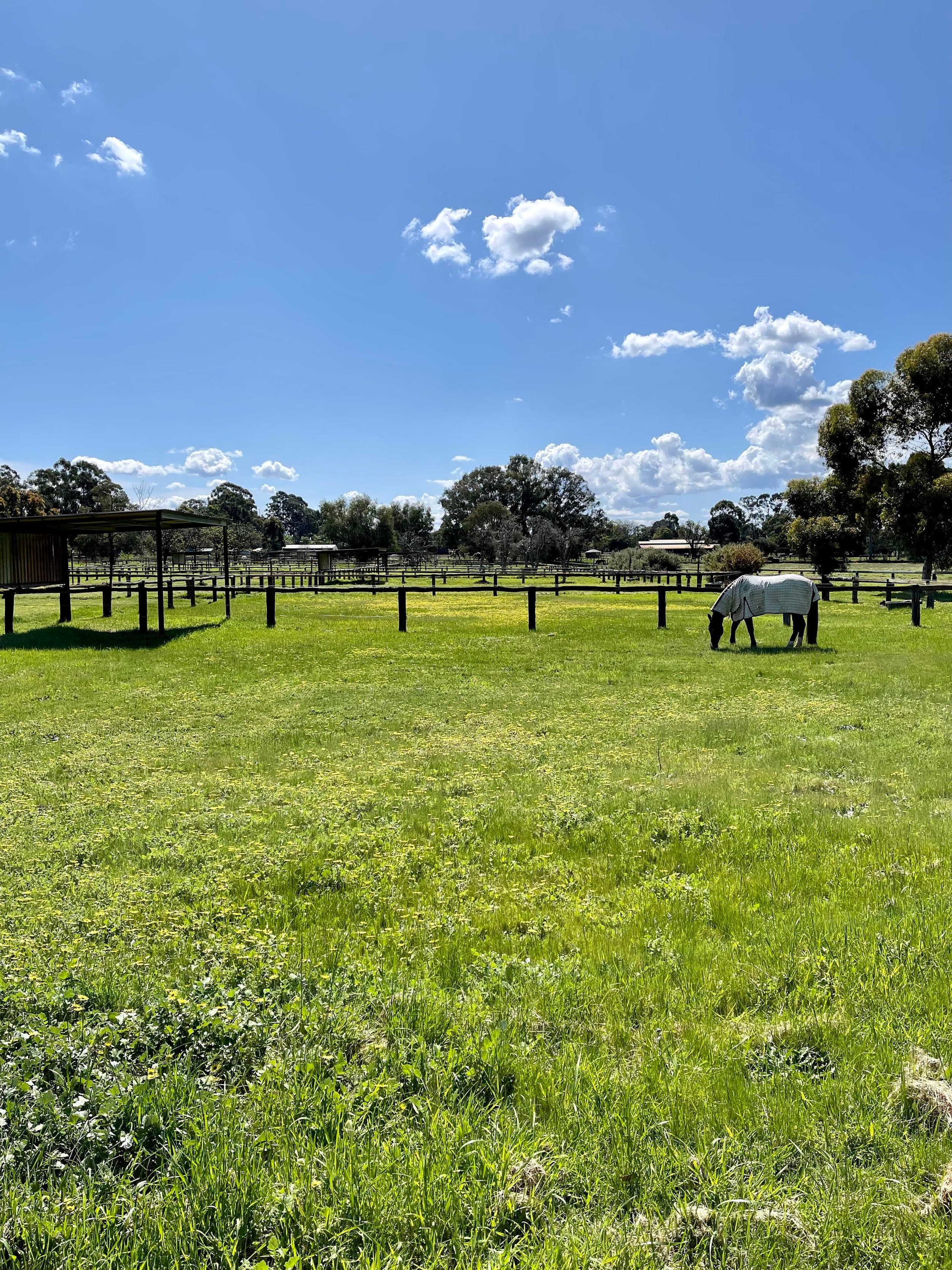 Thumbnail 5 of Lilly Park Equestrian