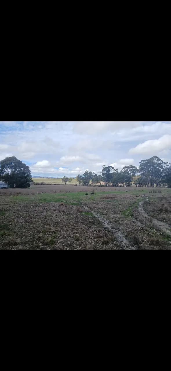 Thumbnail 3 of Agistment horse or cattle.