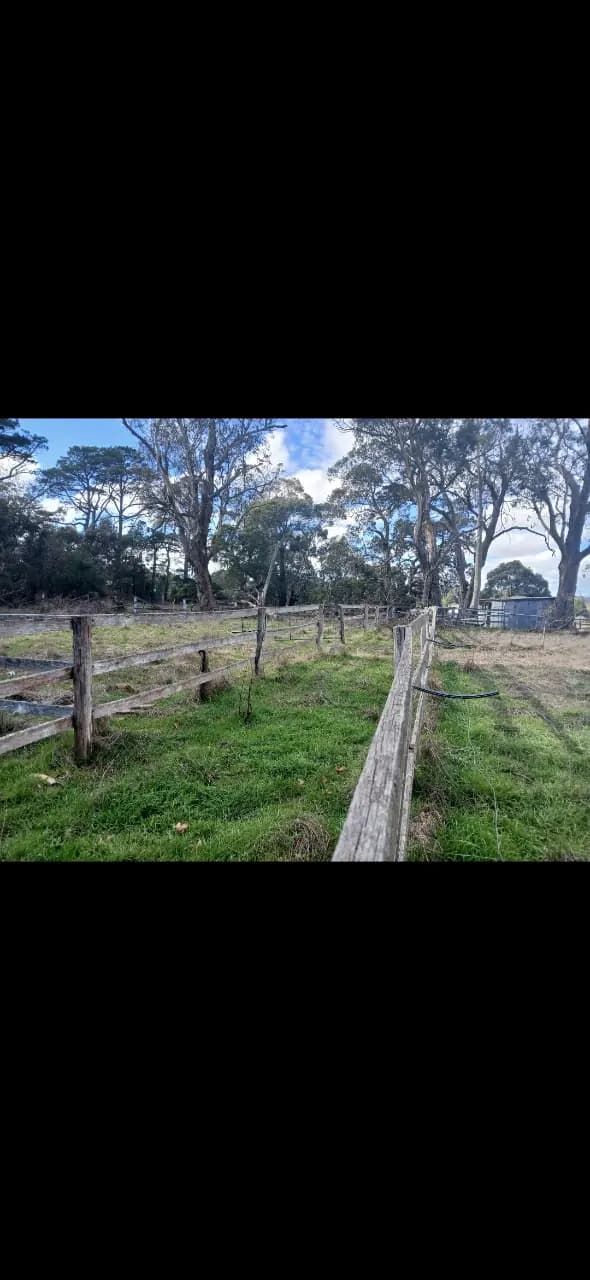 Thumbnail 5 of Agistment horse or cattle.