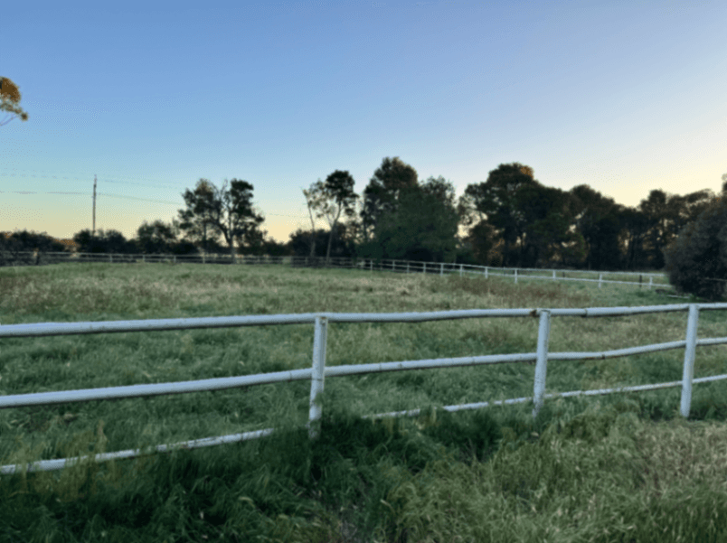 Thumbnail 2 of Hoarse Paddocks Available