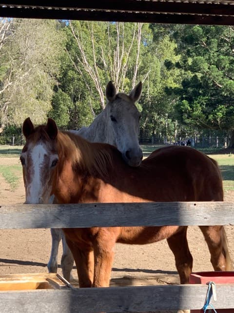 Thumbnail 3 of Equestrian Park