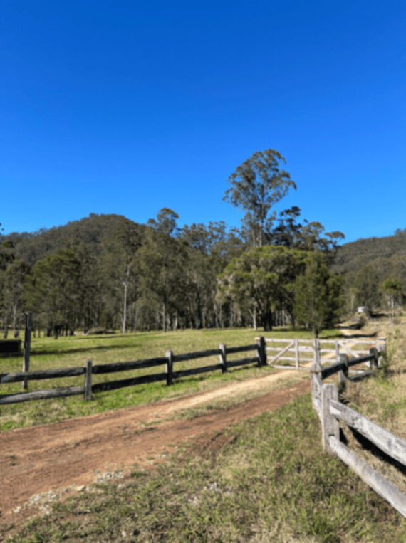 Thumbnail 3 of The Homestead