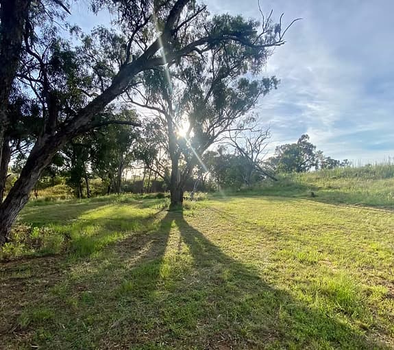 Photo of Cadagi Farm Dubbo