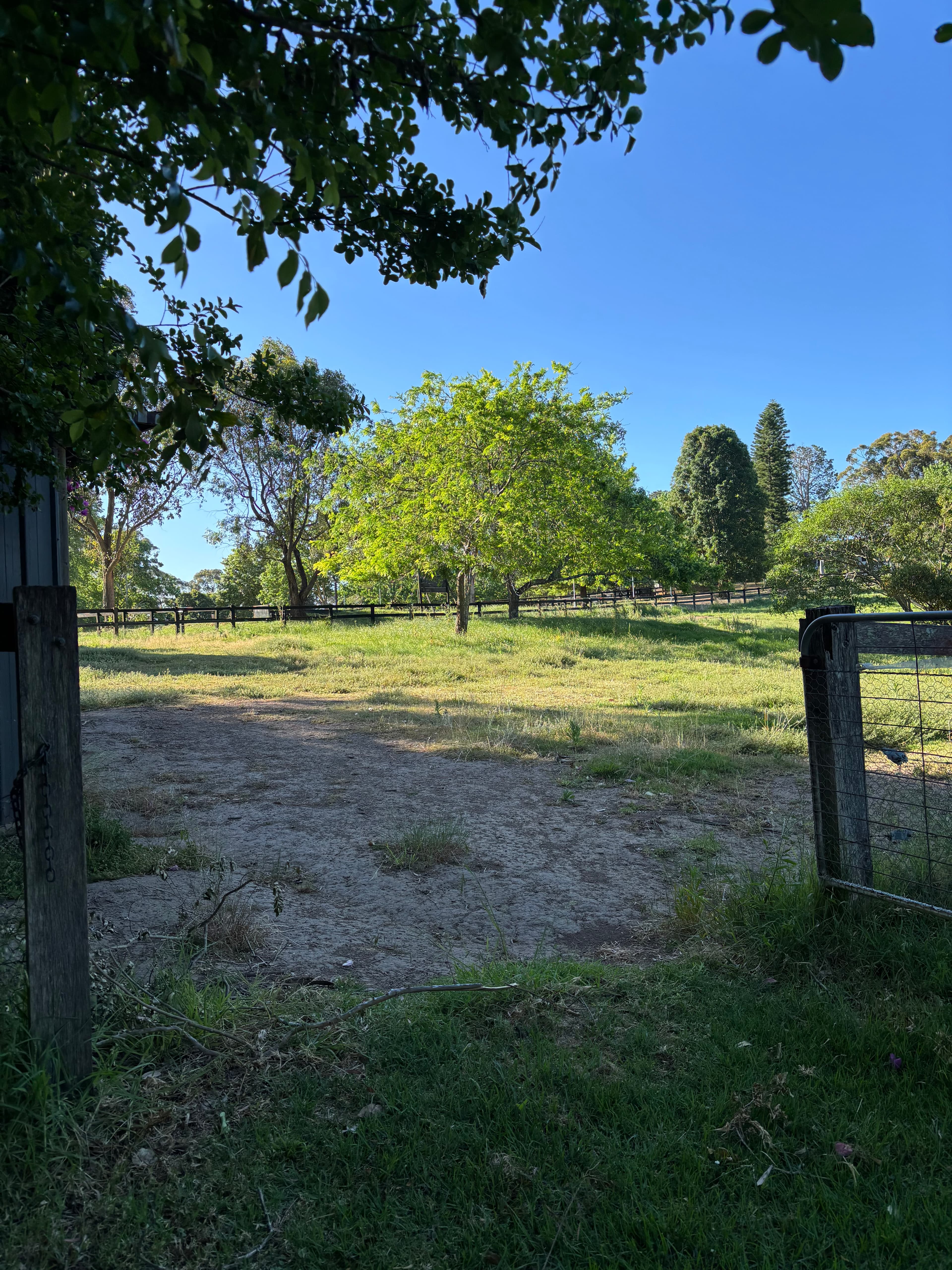 Photo of Arcadia Agistment