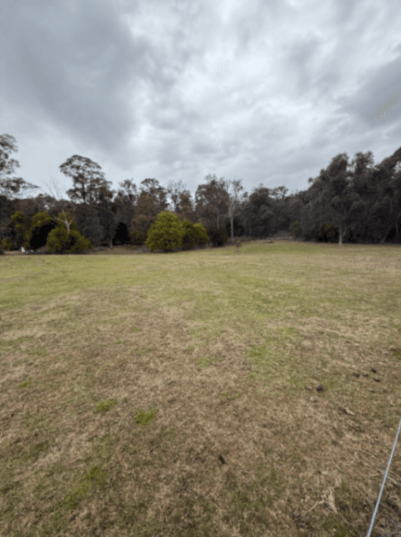 Photo of Koetong Heights