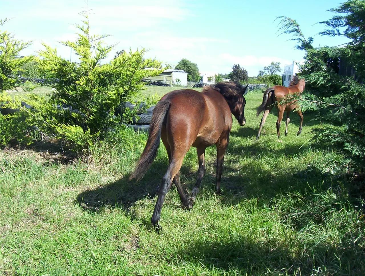 Photo of Marshdale Farm