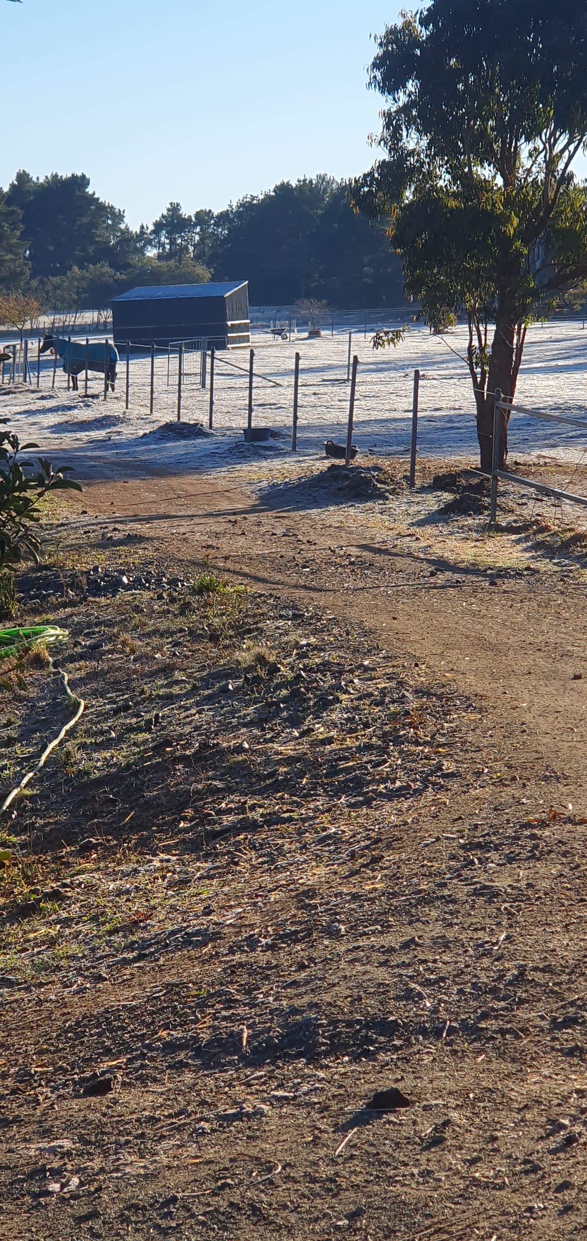 Thumbnail 5 of Blackthorn Park Equestrian