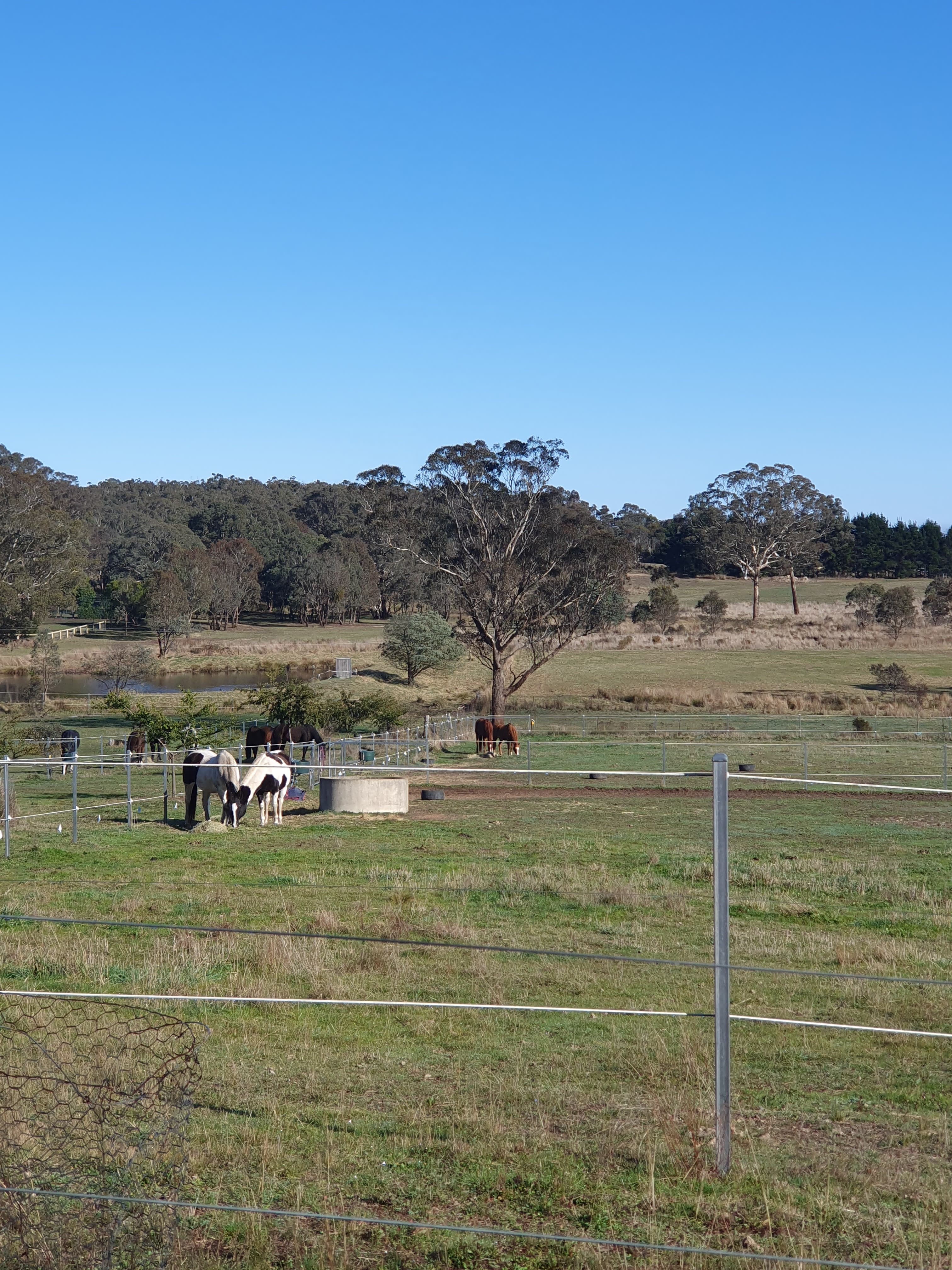 Thumbnail 7 of Blackthorn Park Equestrian